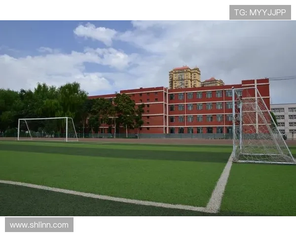 足球星宁成长历程与赛场辉煌全面解读探索未来发展方向